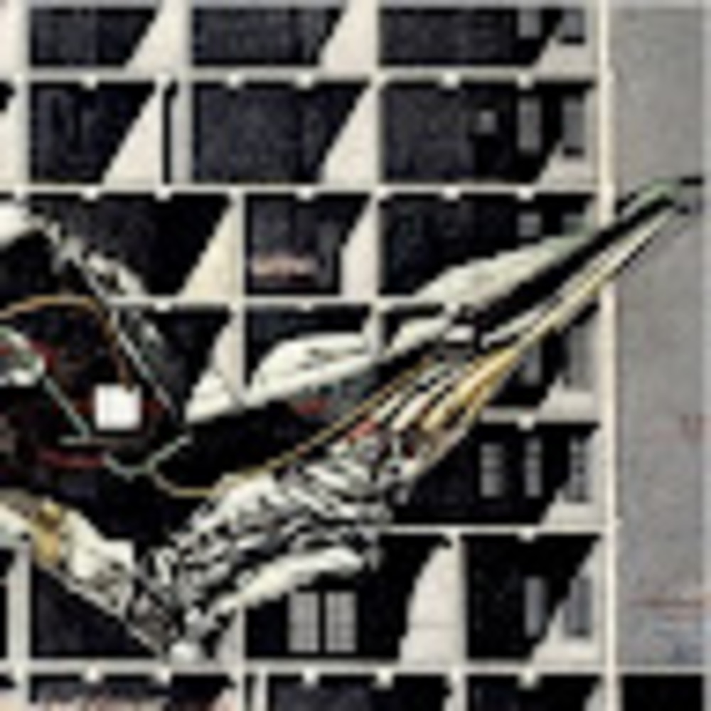 Meet your Posher, Kathleen